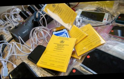 Fast ein Viertel mehr Impfzertifikate als Impfungen registriert – Gesundheitsministerium kann Daten-Chaos nicht aufklären