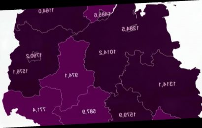 Drei Negativrekorde, höchste Inzidenz in Berlin: Wo sich das Virus besonders stark verbreitet