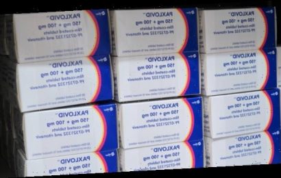 Was Apotheken bei Paxlovid-Verordnungen beachten müssen