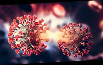 XE, XF,  XD – was Sie über die neuen Rekombinationen des Coronavirus wissen sollten