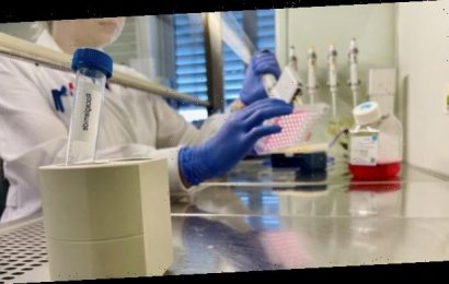 Rocaglamid-Derivate im Fokus gegen Hepatitis E