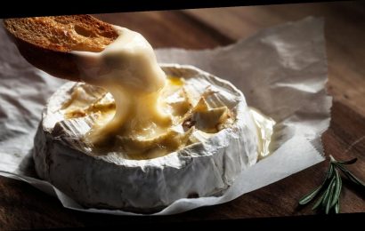 Brieing Partys: Wie Briten im besten Alter mit "getuntem" Käse die Drogenparty neu erfinden