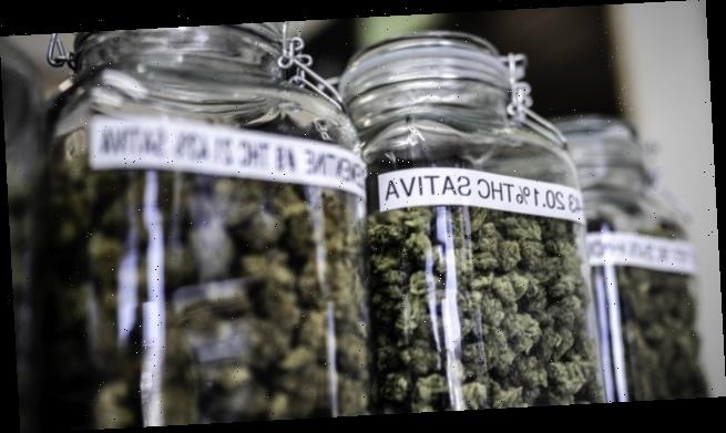 VCA plädiert für OTC-Cannabis in der Apotheke