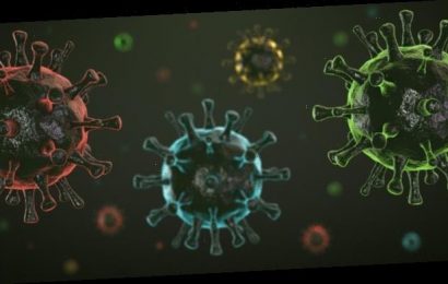 XBB.1.5, China und die Angst vor ganz neuen Corona-Varianten