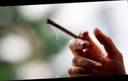 Beipackzettel, Konsumverbot, Jugendschutz: Diese Regeln sollen in Cannabis-Klubs gelten