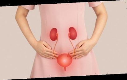 Immunstimulation bei Blasenentzündung – was kann man empfehlen?