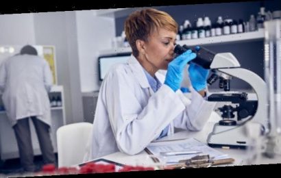 Mehr Transparenz – öffentliches Dashboard zur Veröffentlichungsrate von klinischen Studien