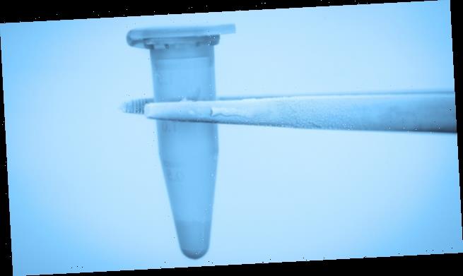 Kryokonservierung: Auch für männliche Krebspatienten ein Thema