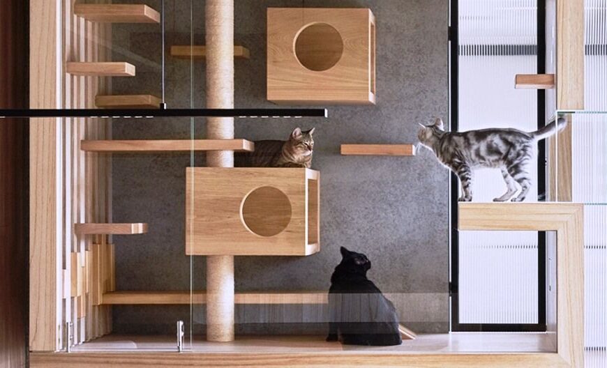 Katzenmöbel für kleine Wohnungen: 12 platzsparende Ideen & DIY-Tipps